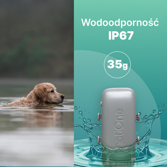 Lokalizator dla psa i kota notiOne GPS pet PLUS
