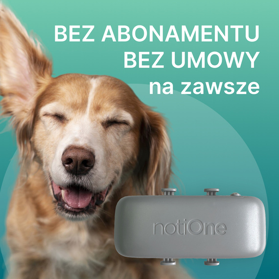 Lokalizator dla psa i kota notiOne GPS pet PLUS
